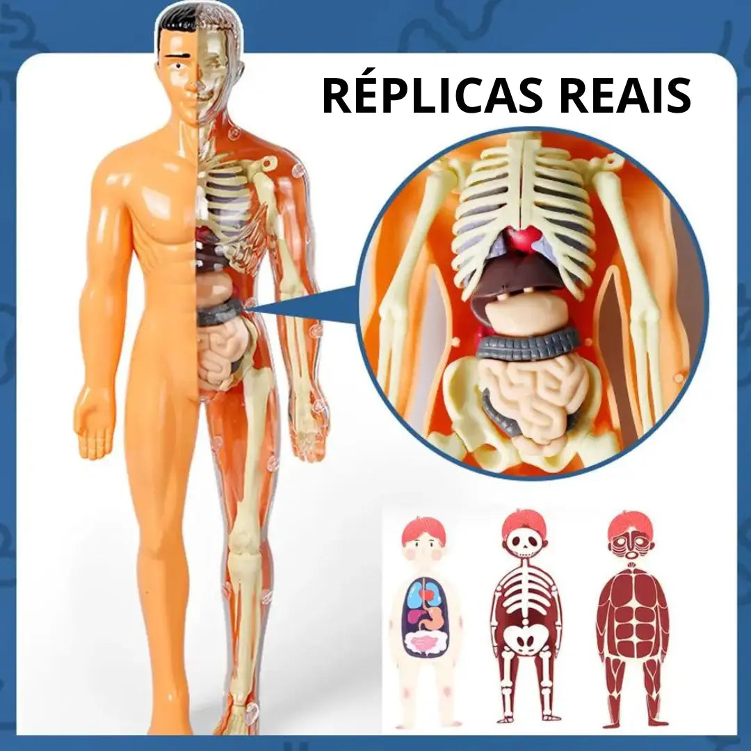 gid://shopify/MediaImage/33283815112950